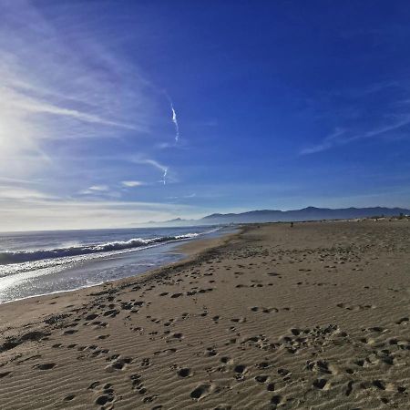 Appartement Climatise Vue Mer 208 卡内 外观 照片